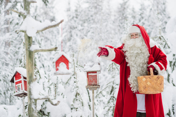 UNCOVERING NORTHERN WELLBEING: Santa Claus comes from Finland