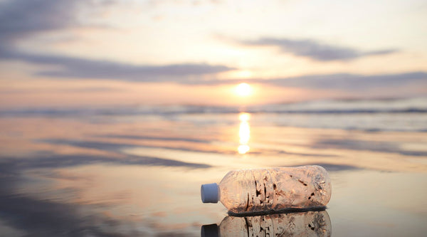 plastic free
