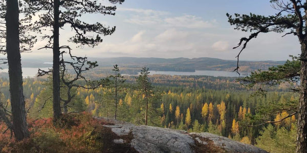 UNCOVERING NORTHERN WELLBEING: Visit unique nature destination - Lapland